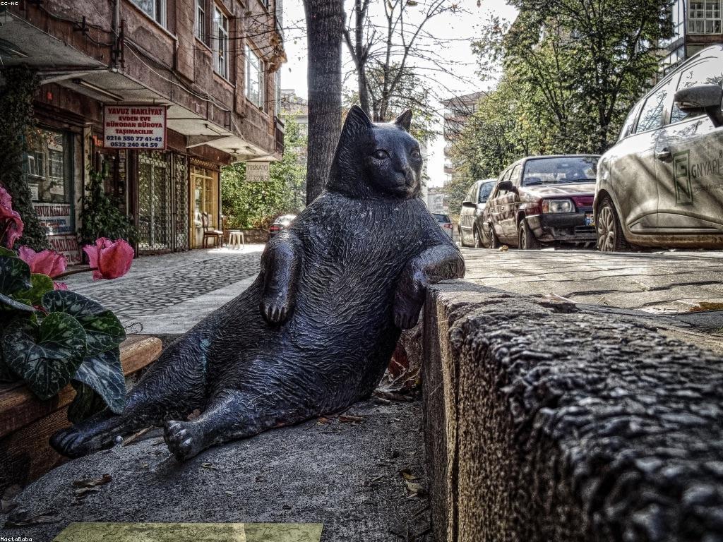 ព័ត៌មានអំពីlv89